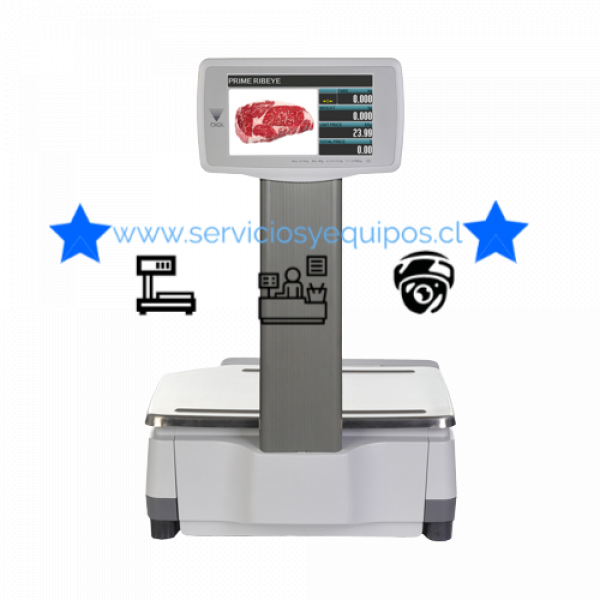 www.serviciosyequipos.cl